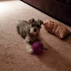 Meet your Posher, Hope